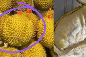 五步挑选报恩榴莲，跟翻车说拜拜（教科书式图文结合直观分享）图片