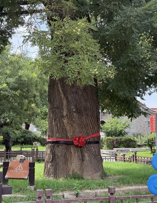 我是北京人，刚游完山东青州，忍不住想说对青州的5点印象。