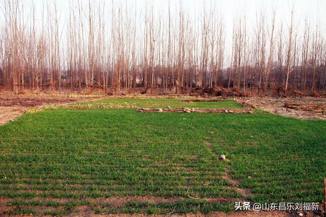 这一次外出闲游感慨颇多