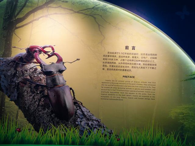 周末遛娃新路线！杨凌2天1夜亲子研学攻略