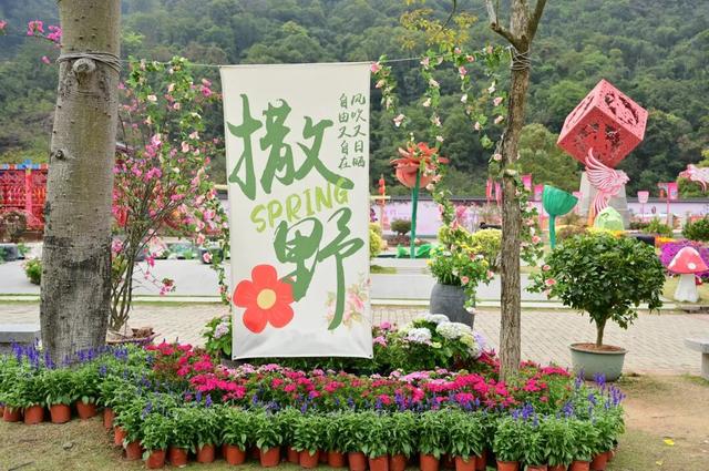 4月4日，莲花花神邂逅赛博机器人，邀您玩转观音山花朝节
