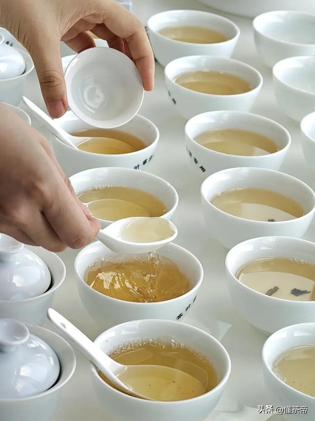 史上最全普洱茶盖碗冲泡测评！不同普洱茶怎么泡最好喝？