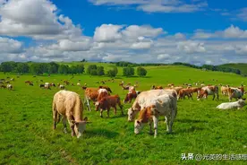 我环游内蒙古，真没想到，印象最深刻的城市竟然是这两个图片