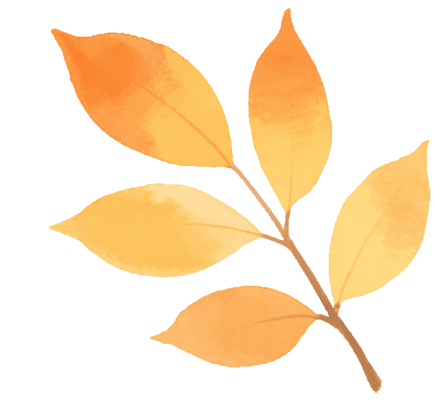 2025绿春县哈尼十月年长街古宴文化活动露营帐篷出租来啦！