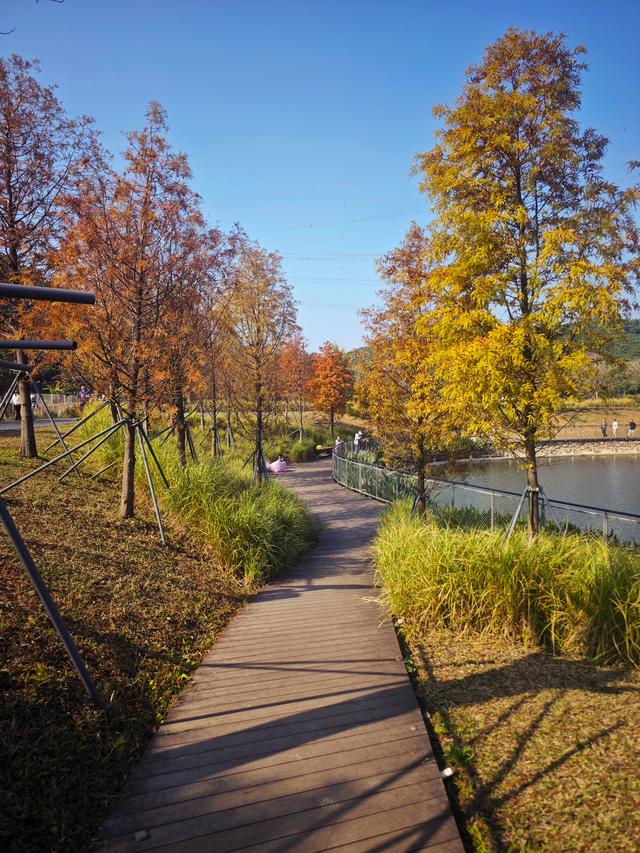 西丽湖绿道骑行随拍