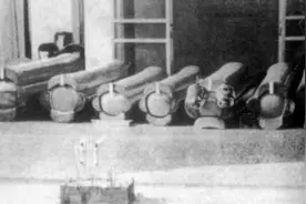 葡澳政府军警开枪射杀抗议群众8人：1966年12月3日一二三事件爆发图片