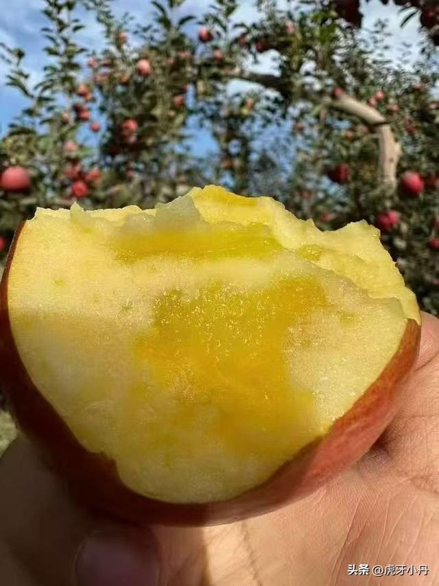 哇塞！新疆南北疆公路通车大揭秘🚗机遇挑战全知道！