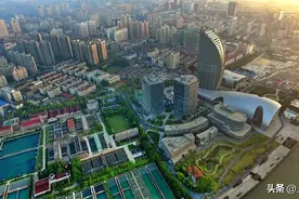 上海市2025年度选调生招录工作启动，欢迎报考杨浦！图片