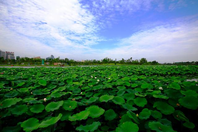 四川省船山区历史沿革及行政区划