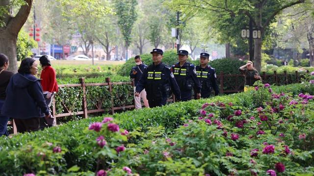 护航牡丹文化节丨黑的白的红的黄的紫的绿的蓝的