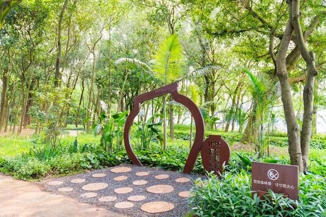 珠海5000年沙丘遗址秘境，免费开放！