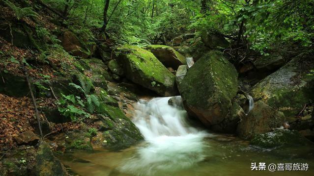 白石砬子：辽东半岛的“绿色方舟”，藏着你未曾见过的原始秘境