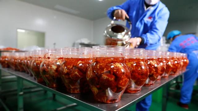 洞庭水乡·自在沅江｜沅江必打卡的宝藏地标