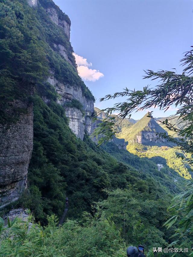 重庆南川区和武隆比区起来在旅游发展潜力上谁更胜一筹