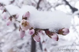 解决海绵体敏感度高，这个千古良方，快速脱敏降敏，自由控制精关图片