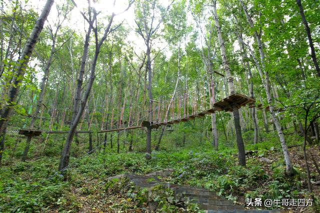 河北百草畔（上）：风动孤石悬险韵，蚁巡深岭蕴生机