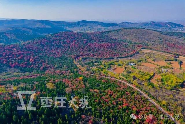 实拍枣庄牛郎山进入红叶观赏期！