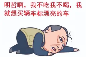 因为车标而放弃选择这款车的，大有人在，吐槽难看的车标，笑死人图片