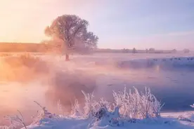 神资料！2005-2023年高考考到的成语分类汇编，最全整理！图片