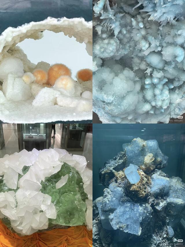 临沂冬日好去处！这8个室内宝地，颜值与温度并存！