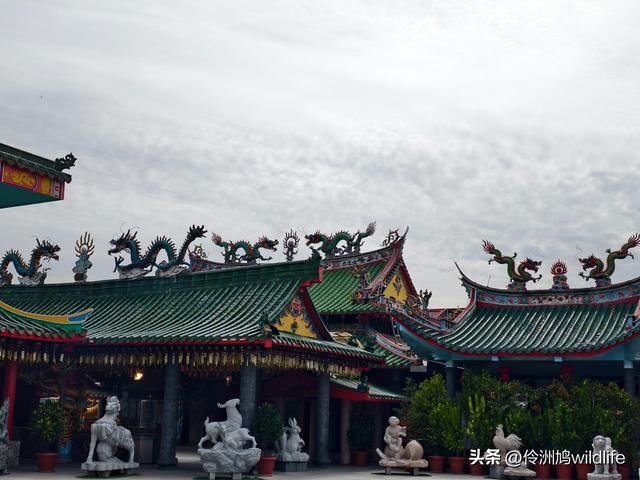 马来西亚(33)砂拉越州⑦美里市加拿大山、海滨公园等