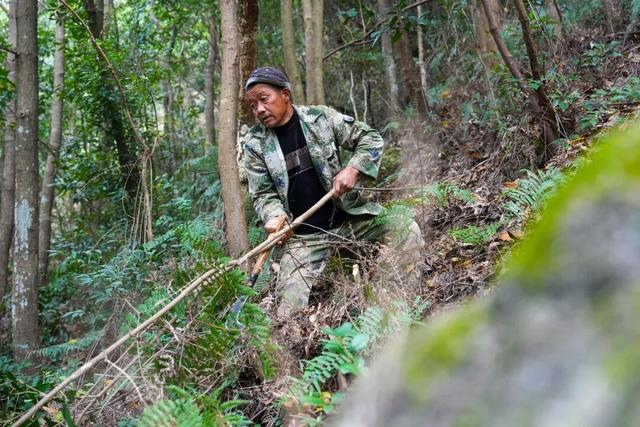 温州这个地方，藏着一群神秘“守泉人”