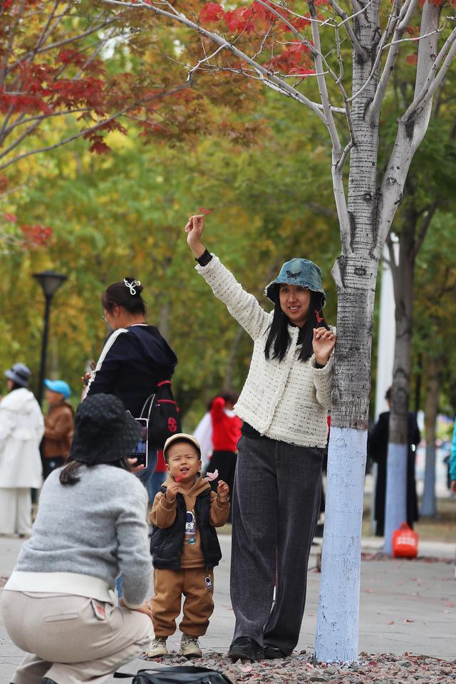 哈尔滨“限时打卡地”来了！哈工程的枫叶红了