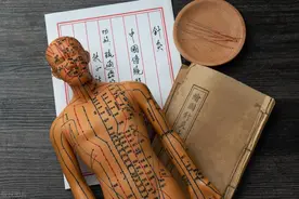 老中医私藏！高清十二经络的走向动画图，太神奇了！图片