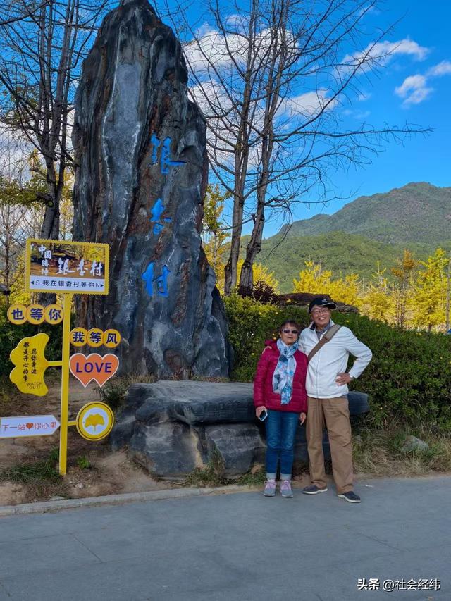 金色童话！腾冲千年银杏村，巷陌皆染秋光醉