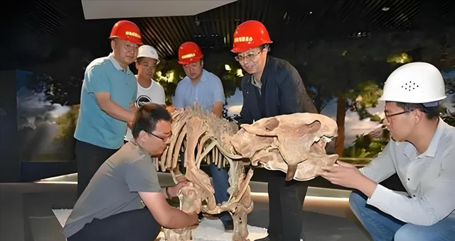 346万英镑拍走史前龙！窃蛋龙"斯派克"背后，科学家与富豪争夺战