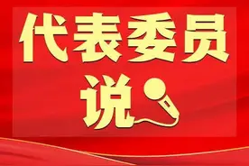 杨苗苗、王建伟、叶红义、陈雪萍、徐锦庚：严惩集资诈骗犯罪 守好老百姓“钱袋子”图片