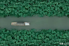 最美的十大名诗，一生至少要读一次图片