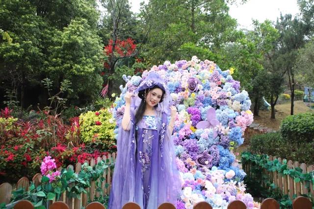 东莞观音山4月15日首日实况直击!欢迎东莞人民🤩共赏春光!