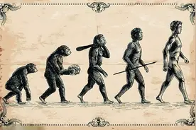 人类大脑为何无法再进化？实验发现：大脑的进化受制于人体的能量图片