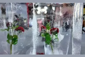 冷冷冷！今冬沈阳首次突破-20℃！下场降雪可能在图片