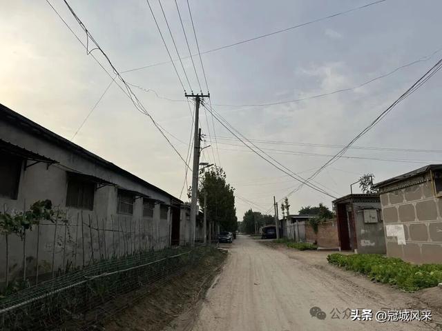 冠县乡韵·桑阿镇轧庄