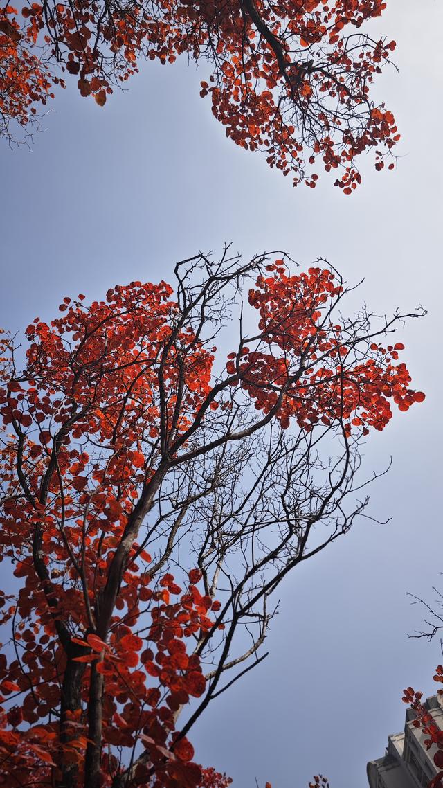 秋色如画，晒出你的秋！