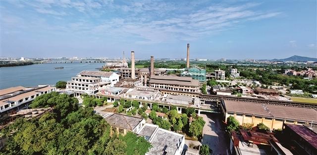 全运东风起 番禺文旅体育添新韵