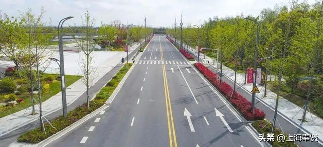 为什么金海的路大多都叫X园路、X丰路？