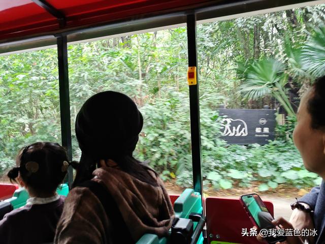 参观广州长隆野生动物园，全程感觉眼累手累腿不累