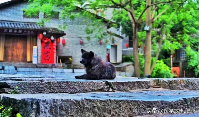 在黄姚古镇追寻静谧和安详