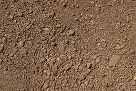 “土”是什么？图片