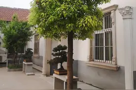 “家有良木，儿孙自有福”！5种吉祥树，种一棵好处多，别错过图片