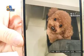 听不到它的呼吸声，她说睡觉都睡不着……图片