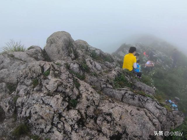 再登辽阳千米高峰白云山,云雾弥漫,金莲花盛开