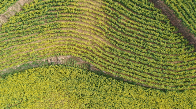 在两当，春天就要Color Walk→