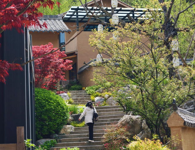 春满田河，古韵新生