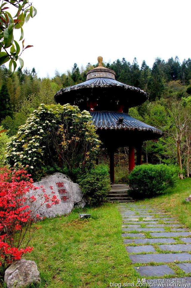 领袖峰及其它（江西之旅第八十五篇）