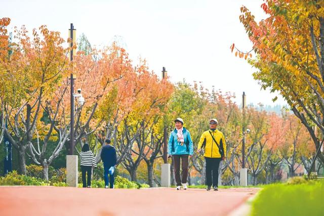 长治的金秋，何处最美？