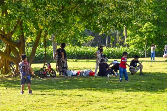 下一个“洛阳	”已现身？郑州与开封落选	，这座黑马呼声高。